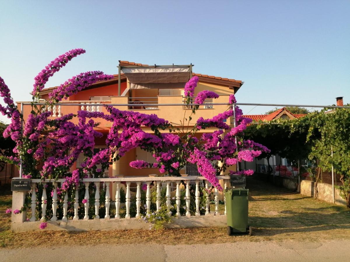 Marina Apartment Biograd Na Moru Bagian luar foto