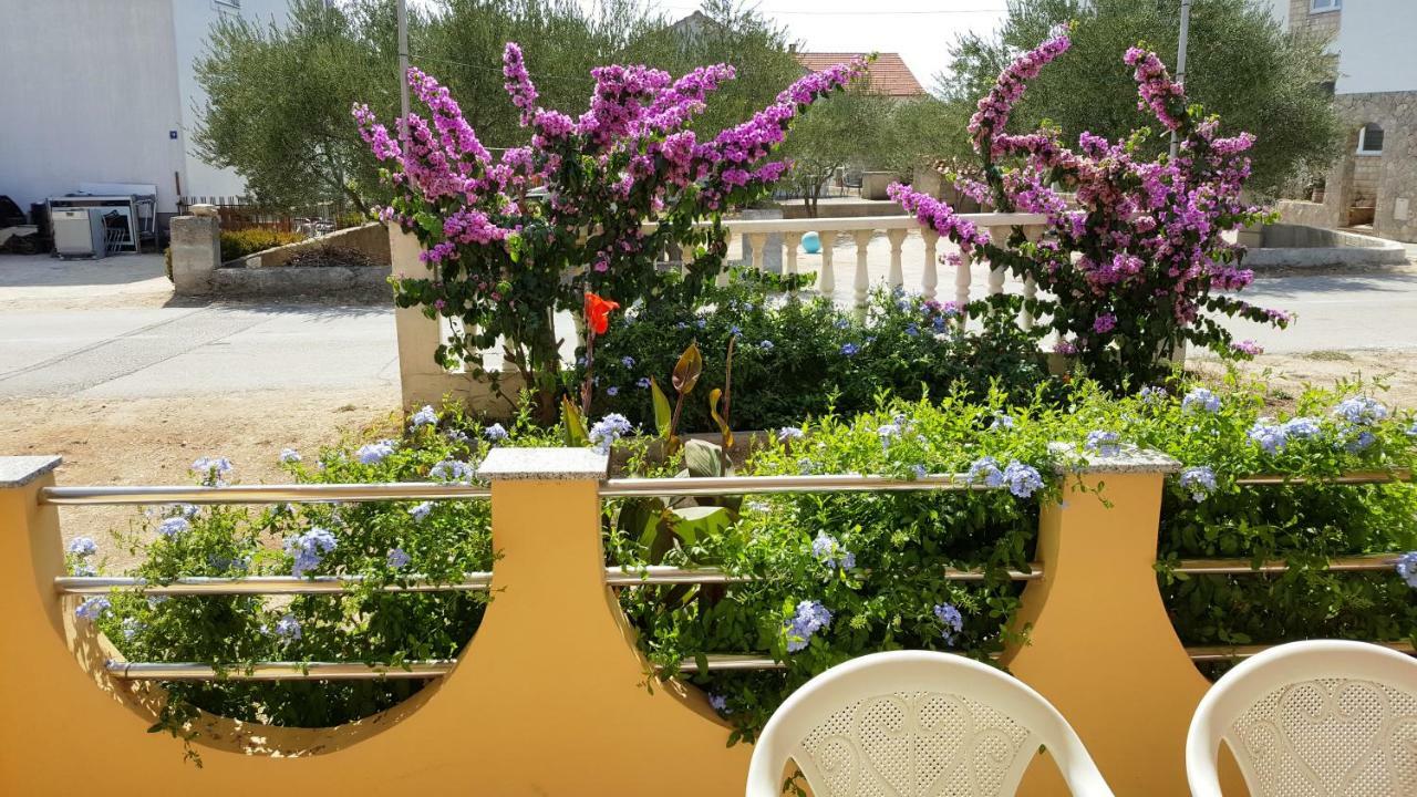 Marina Apartment Biograd Na Moru Bagian luar foto